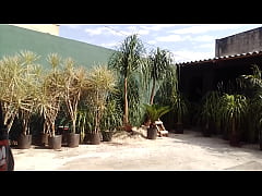 Play MP4 - Diogobrasileiro - update &num;2 - VID 20231024 084410 - Oct 25&comma; 2023