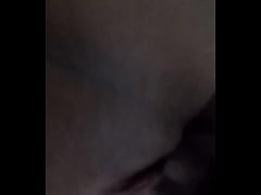 Play MP4 - o dinossauro e a gatinha