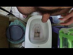 Play MP4 - Peludo dando uma geral na mata