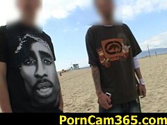 Play MP4 - aip kelly devine clip3 01