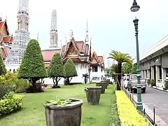 Play MP4 - cultured ladyboy  Sonya