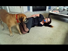 Play MP4 - Homemade Predicaments and Gags