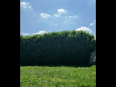 Play MP4 - ️ Alex the Monkey's Journal&colon;Today I tried to cut the grass&period;I don't know if I won&period;&period;&period; but the grass definitel &period;&period;&period;