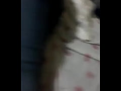 Play MP4 - Mi primita b&period; d&period;