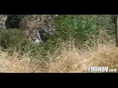 Play MP4 - Tattooed emo whore 144