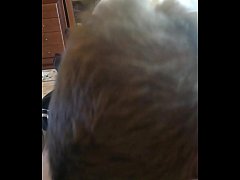 Play MP4 - Bitch&comma; suck my DICK&excl;&excl;&excl;