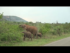 Play MP4 - Big tits ebony hottie fills up all holes with my big fat white cock POV