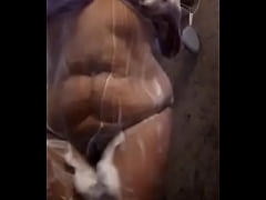 Play MP4 - Ba&ntilde;andose