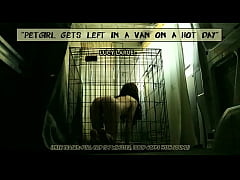 Play MP4 - Petgirl Gets Left In A Van On A Hot Day