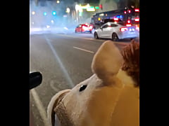 Play MP4 - Fast and furious parody staring Max Shenanigans