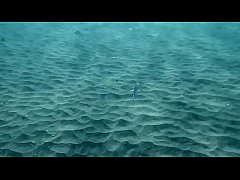 Play MP4 - 3 Hot Girls swim and have fun in the sea