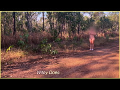 Play MP4 - Wife walks nude filming herself outdoors