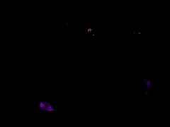 Play MP4 - Ela ficou com medo de come&ccedil;ar no xvideos&comma; e j&aacute; sofreram preconceito&comma; mas a fam&iacute;lia n&atilde;o sabe ainda - Novinhos da Imperium &lpar;SHEER&sol;RED&rpar;