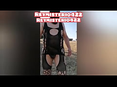 Play MP4 - Reymisterio422 - Paseo de d&iacute;a por el bosque- 1000302641 - Apr 07&comma; 2025