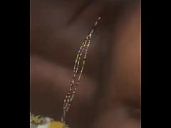 Play MP4 - black girlfriend gets slammed From Back