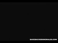 Play MP4 - Busty Wild Tranny Threesome with Horny SHemale