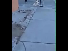 Play MP4 - Culazos Ags &lpar;Fracc&period;Morelos&rpar;