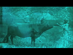 Play MP4 - Dark Lantern Entertainment presents 'Vintage Nature Girls'