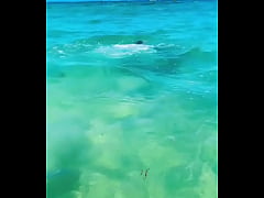 Play MP4 - &num;Girlfights &num;OilersGirl &num;bootyteam &num;latina &num;fyptwitter &num;ViralVideos &num;A dive with me&quest;