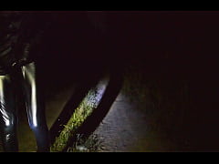 Play MP4 - Night walk in leather