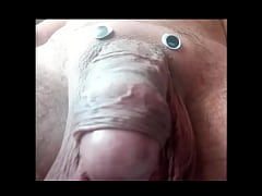 Play MP4 - the elephant