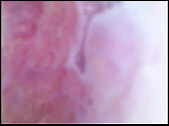 Play MP4 - Real pussy orgasm contraction cam inside pussy&excl;&excl;&excl; Sperm found in pussy juice under microscope&excl;&excl;&excl;