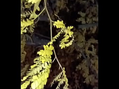 Play MP4 - I'm a jolly good fellow while smiling with yellow trees and anal ending