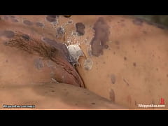 Play MP4 - Bound busty lesbians asses fucked