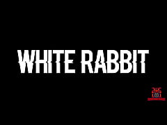 Play MP4 - White Rabbit - Halloween Special