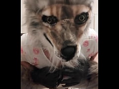 Play MP4 - Wolf girl pissing in her panties
