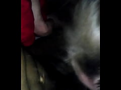 Play MP4 - VA's worst nightmare