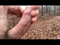 Play MP4 - Honoring bushstroke