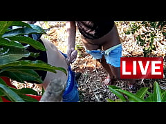 Play MP4 - gozei no pinto do veio