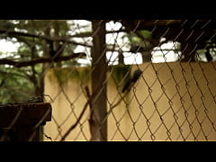 Play MP4 - naughty encounter in the Zoological Park of the country in mboa&period;  xvideos exclusive