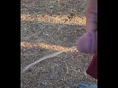 Play MP4 - Morning piss in the homestead