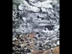 Play MP4 - 10550814 1484801781765602 112301592 n