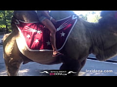 Play MP4 - Lexidona - Camel
