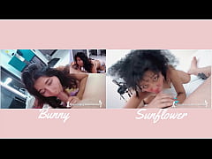 Play MP4 - VERSUS&num;3 - BUNNY vs SUNFLOWER