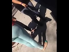 Play MP4 - culito esperando troleb&uacute;s