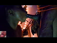 Play MP4 - Sexy Halloween special