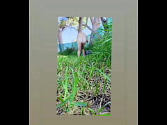 Play MP4 - Zea812 - update &num;206 - 1000057132 - Jun 30&comma; 2025