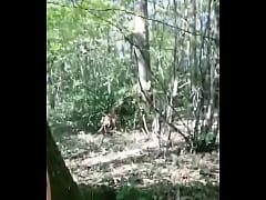 Play MP4 - Nouveau teaser gratuit HARD MISSION IMPOSSIBLE N&deg; 5La For&ecirc;t Si tu veux &period;&period;&period;