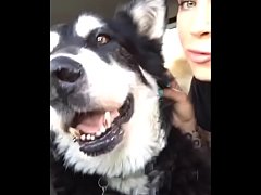 Play MP4 - felicity feline s&period; moments montage 1