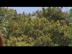 Play MP4 - HCVN0338-1019