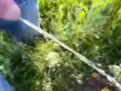 Play MP4 - id feels like en orgasm