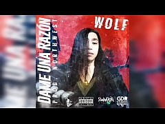 Play MP4 - Wolf &num;2