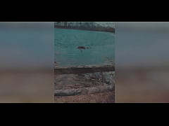 Play MP4 - DIVINE SINNERS &vert;&vert; HOT DUTCH MILF DANIQUE SINNERS FUCKING OUTDOORS