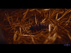 Play MP4 - Hardcore Lesbian Action - Girls Getting Possessed by Alien Parasite and Craving Pussy Trailer