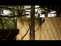 Play MP4 - public fuck of tourists in a park in Yaound&eacute; during the African Cup of Nations football in Cameroon&period;  This woman is copiously fucked in public by the tourist in a park