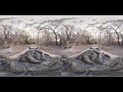 Play MP4 - VR PORN-Hot Moroccan beauty pleasure's your dick